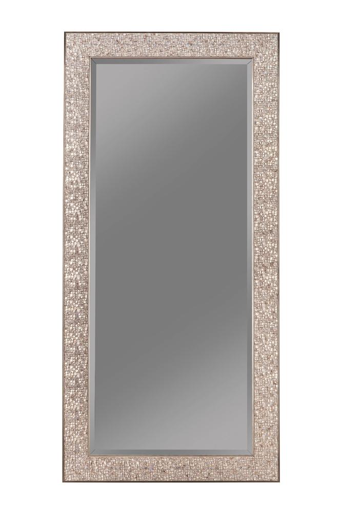 Rollins 32 X 66 Inch Rectangular Floor Mirror Silver - Coaster model 901997