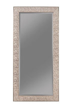 Rollins 32 X 66 Inch Rectangular Floor Mirror Silver - Coaster model 901997