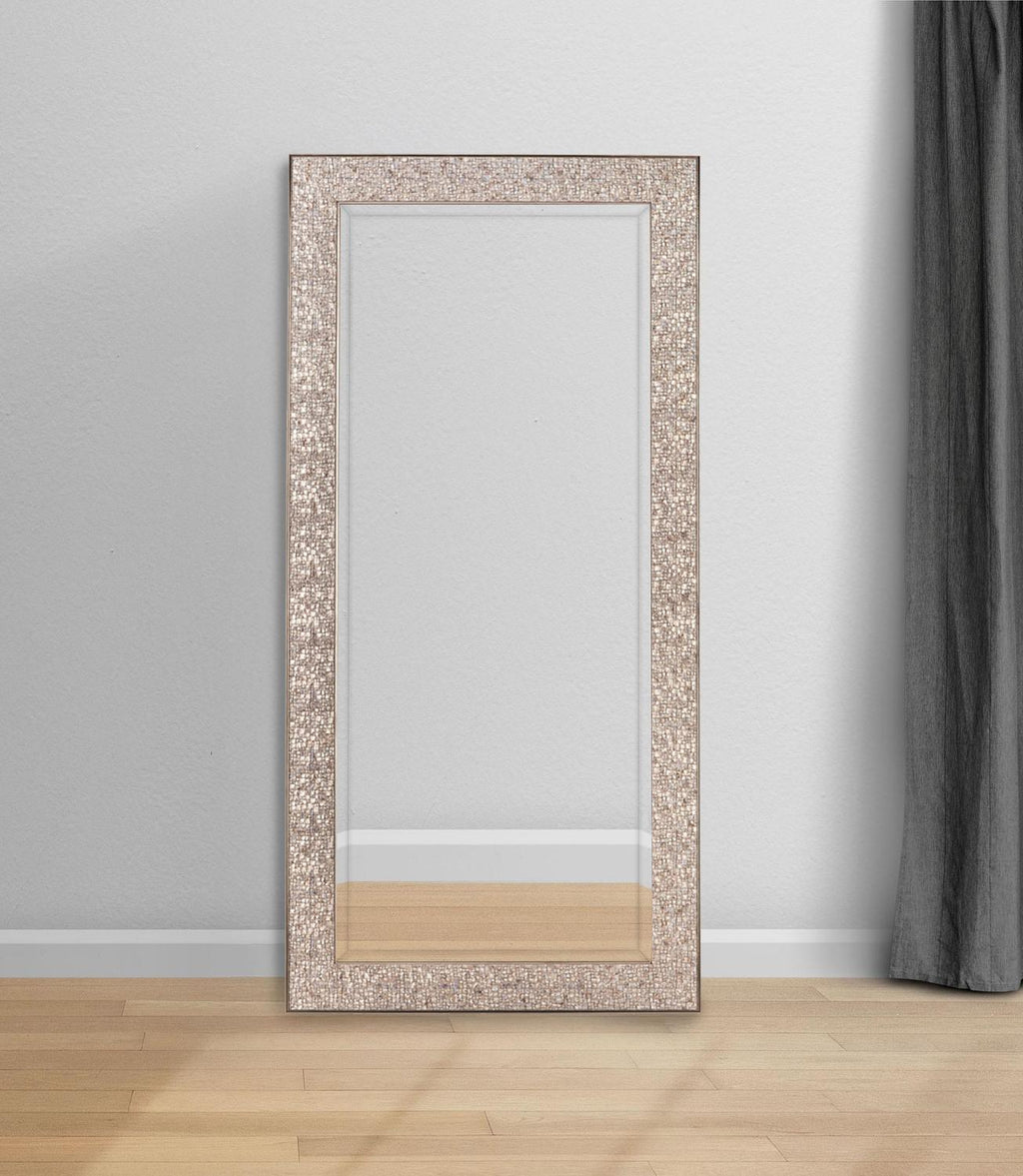 Rollins 32 X 66 Inch Rectangular Floor Mirror Silver - Coaster model 901997