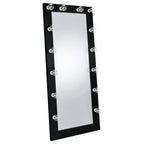 Zayan 32 X 71 Inch Floor Mirror LED Lighting Black Gloss - Coaster model 969557