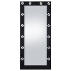 Zayan 32 X 71 Inch Floor Mirror LED Lighting Black Gloss - Coaster model 969557