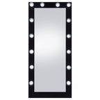 Zayan 32 X 71 Inch Floor Mirror LED Lighting Black Gloss - Coaster model 969557